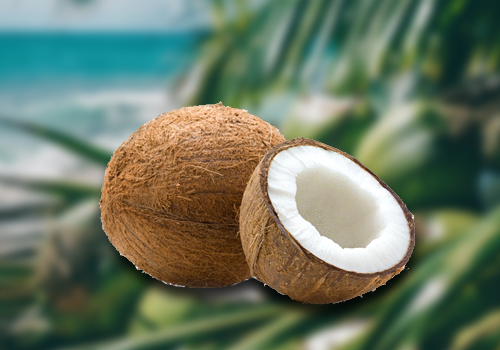 Top Coconut Exporters in Alappuzha india